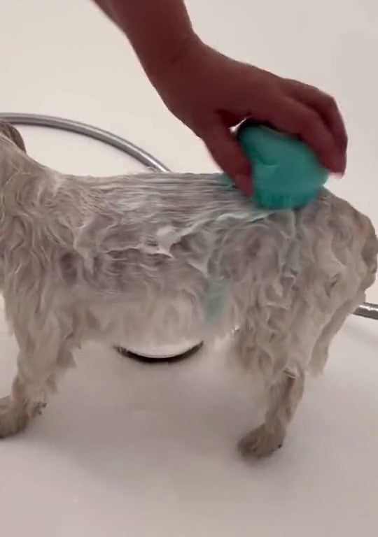 Brosse de bain en silicone pour chiens et chats
